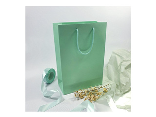 Papīra maisiņš ar rokturiem, mint, 230x100x330mm