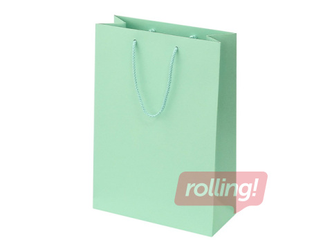 Sangadega paberkott, mint, 230x100x330mm