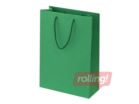 Paper bag with handles, green, 230x100x330mm