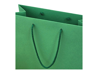 Paper bag with handles, green, 230x100x330mm