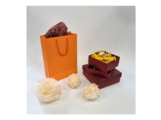 Бумажный пакет с ручками, оранжевый, 230x100x330мм