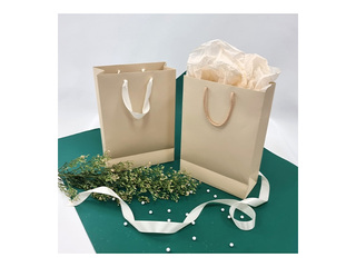 Paper bag with handles, beige, 230x100x330mm