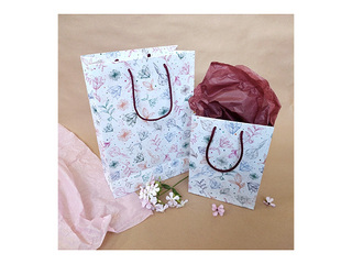 Sangadega paberkott ja kujundusega, 160x80x220mm