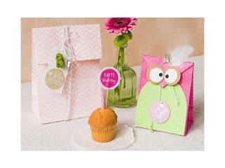 Lameda põhjaga kinkekott, 12 tk, 2 motiiviga