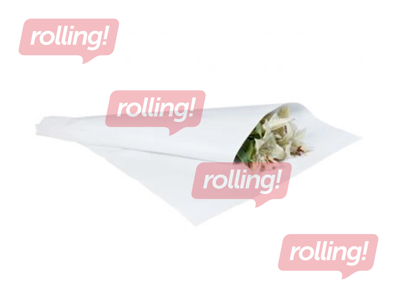 Pakkepaber, valge, 55x84cm, 10kg