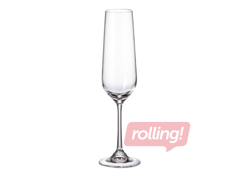 Champagne glass Strix, 200ml, 6 pcs