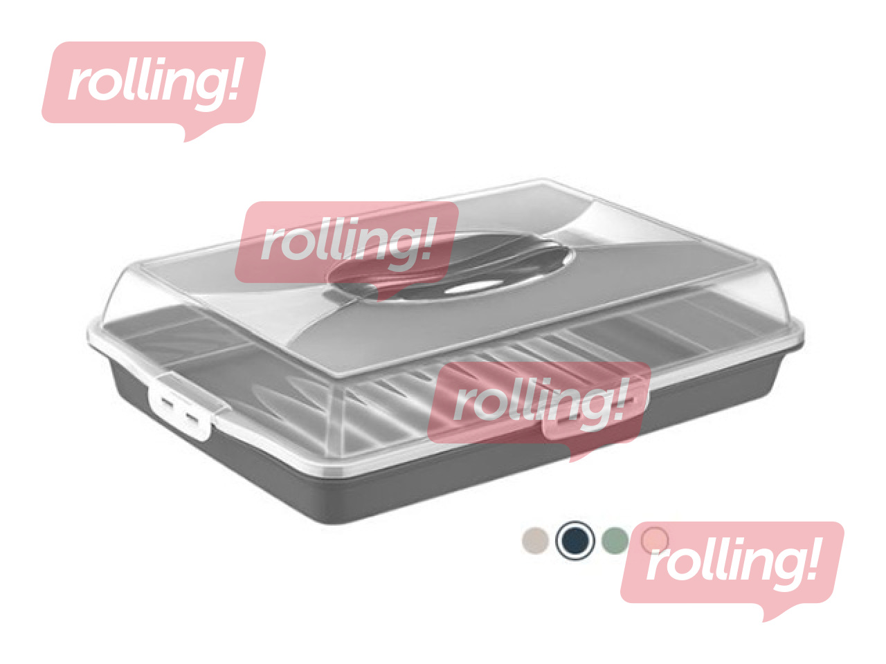 Cake carrier Dunya, assorted colours, 45×31×10cm