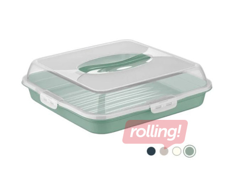 Cake carrier Dunya, 36×36×10cm