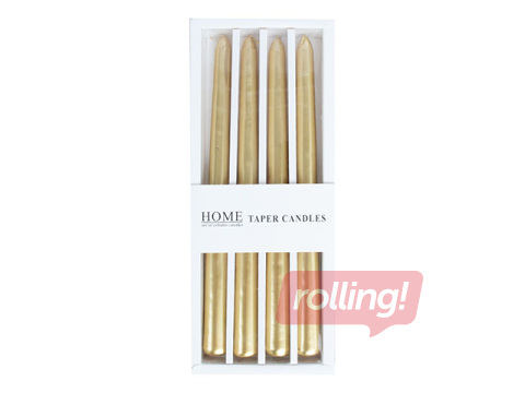 Candle Carola, Golden Pearl, 25cm, 4 pcs