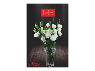 Vaas LaVario Roma, kristall, 19cm