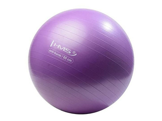 Vingrošanas bumba ar pumpi, violeta, Ø65cm