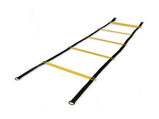 Training Ladder (4m) 
