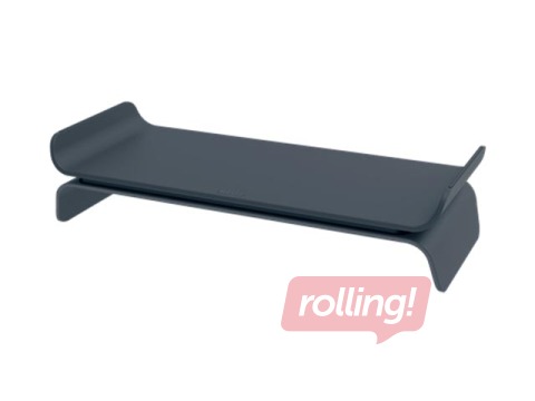 Ergonomic Monitor Stand Leitz, Grey