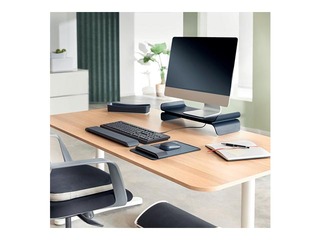 Ergonoomiline monitori alus Leitz, hall