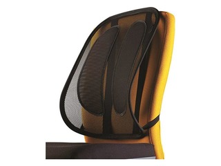 Fellowes ergonomic Mesh Back Support