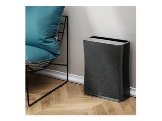 Õhupuhasti Roger, must